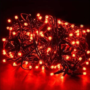 Cordão Uso Ext. IP44 Fio 1,8mm Verde 100 Led's Vermelho Fixa Tom. M/F 10mt 220v (89184) (Natal)