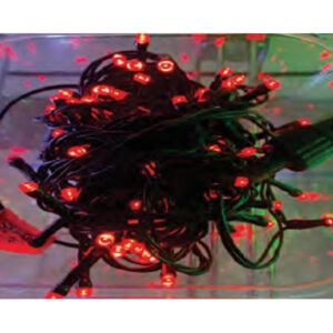 Cordão Uso Ext. IP44 Fio 1,8mm Verde 100 Led's Vermelho Fixa Tom. M/F 10mt 220v (89184) (Natal)